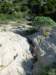 dscn4232_small.jpg