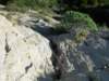dscn4233_small.jpg