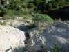 dscn4237_small.jpg