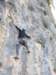 dscn4239_small.jpg