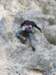 dscn4244_small.jpg