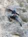 dscn4245_small.jpg