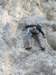 dscn4246_small.jpg