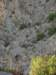 dscn4253_small.jpg