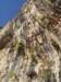 p1010004_small.jpg