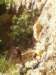 p1010008_small.jpg