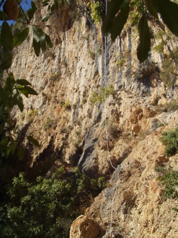 p1010009.jpg