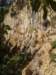 p1010009_small.jpg
