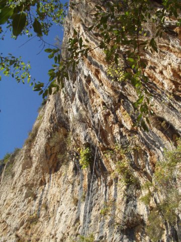 p1010010.jpg