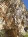 p1010013_small.jpg