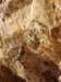 dsc02188_small.jpg