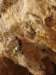 dsc02189_small.jpg