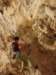 dsc02190_small.jpg