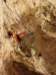 dsc02192_small.jpg