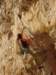 dsc02193_small.jpg