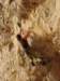 dsc02194_small.jpg