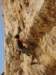 dsc02196_small.jpg