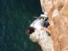 dsc02215_small.jpg