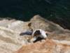 dsc02228_small.jpg