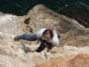 dsc02229_small.jpg