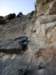 dsc02234_small.jpg