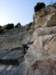 dsc02236_small.jpg