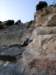 dsc02237_small.jpg