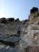 dsc02239_small.jpg