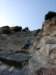 dsc02241_small.jpg