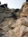 dsc02248_small.jpg