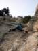 dsc02250_small.jpg