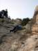 dsc02251_small.jpg