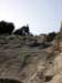 dsc02253_small.jpg