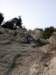dsc02254_small.jpg