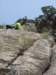 dsc02255_small.jpg