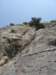 dsc02256_small.jpg