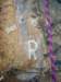 dsc02260_small.jpg