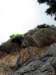 dsc02269_small.jpg