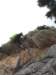 dsc02270_small.jpg