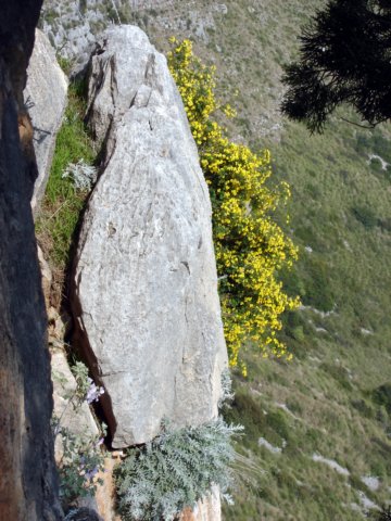 dsc02275.jpg