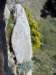 dsc02275_small.jpg