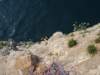 dsc02289_small.jpg