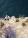 dsc02291_small.jpg