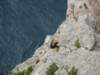 dsc02293_small.jpg