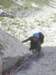 dsc02489_small.jpg