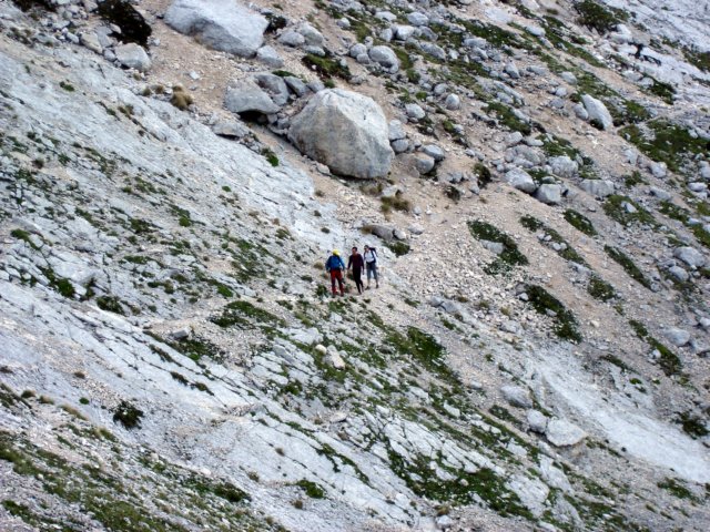 dsc02497.jpg