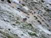 dsc02497_small.jpg