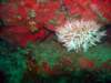 dsc02508_small.jpg