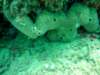 dsc02509_small.jpg