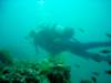 dsc02510_small.jpg